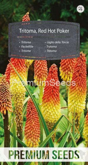 Tritoma, Red Hot Poker - seeds