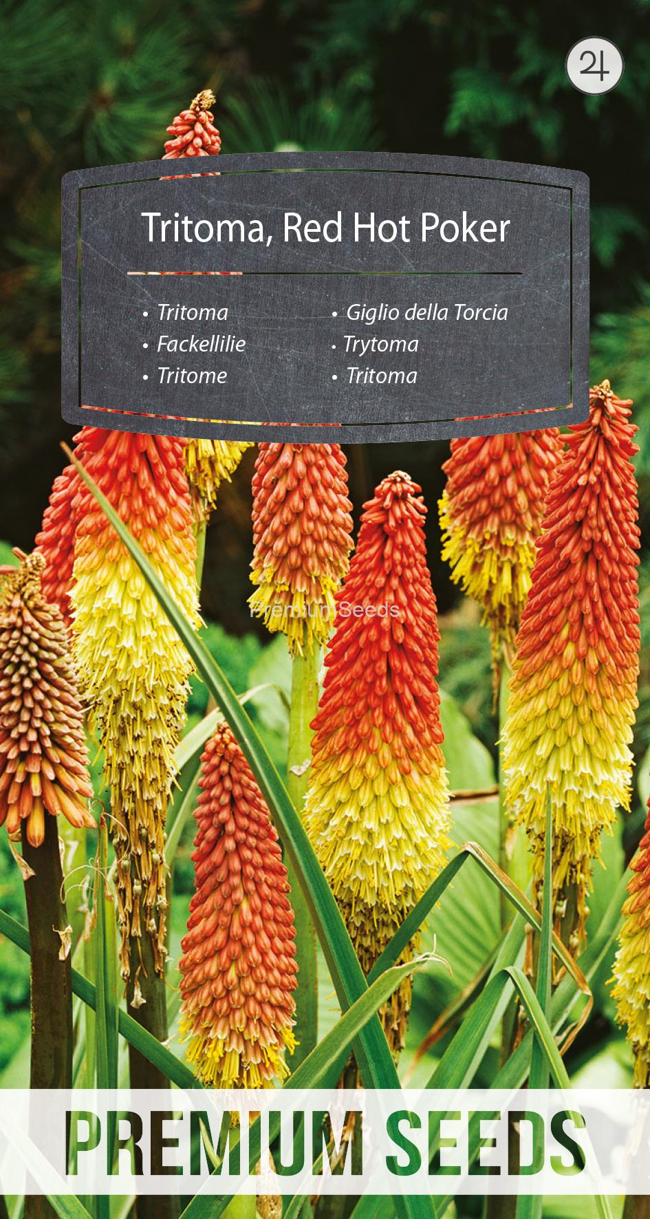 WORLD 10047555PA.indd Tritoma, Red Hot Poker - seeds