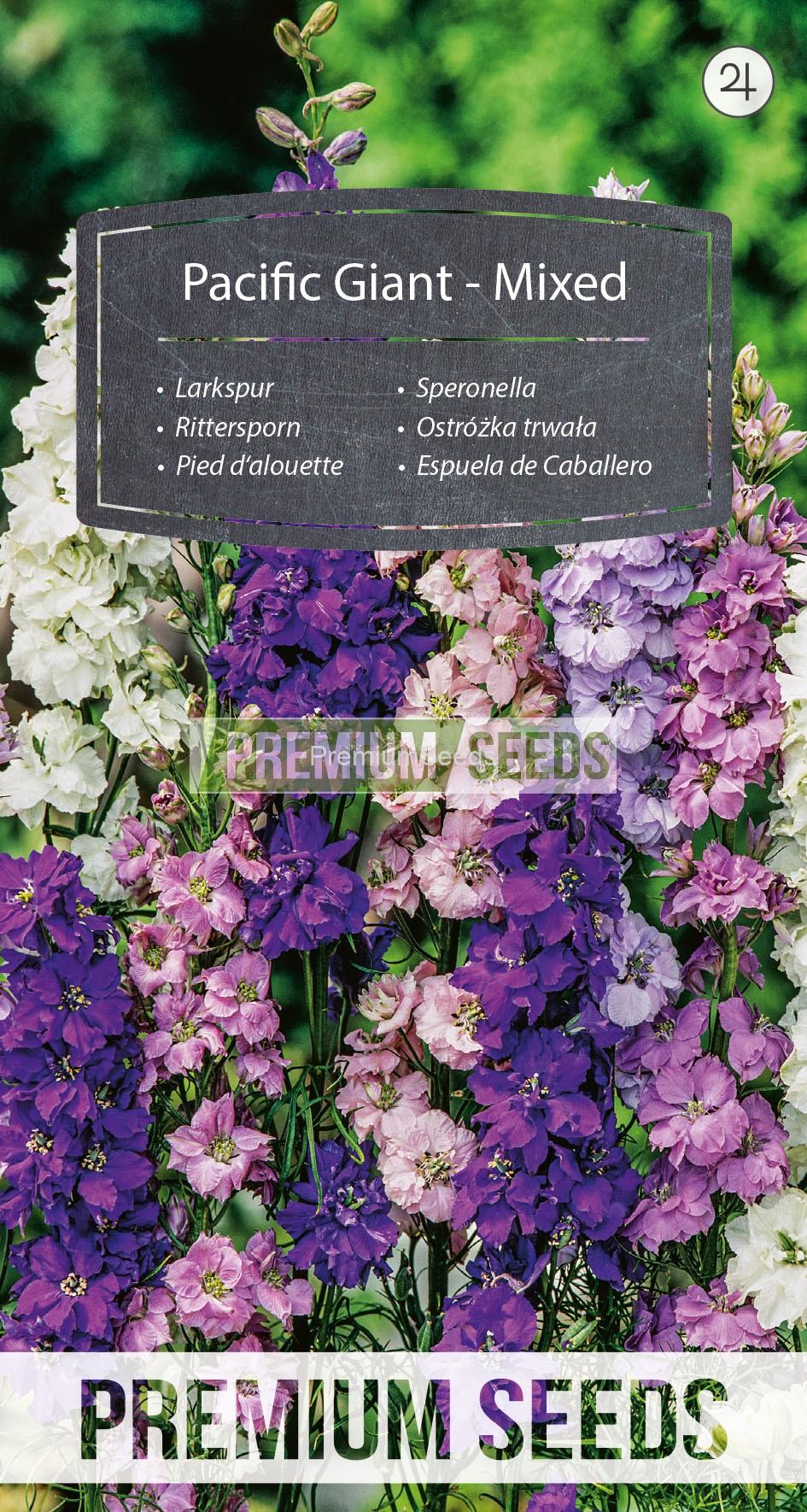 WORLD 10084349PA_RGB_VS Larkspur Pacific Giant - seeds