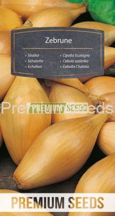 Shallot Zebrune - seeds