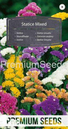 Statice Mixed - seeds