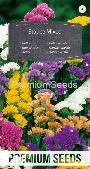 Statice Mixed - seeds