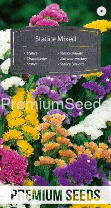 Statice Mixed- seeds