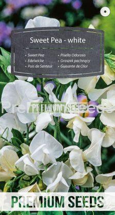 Sweet Pea - white - seeds