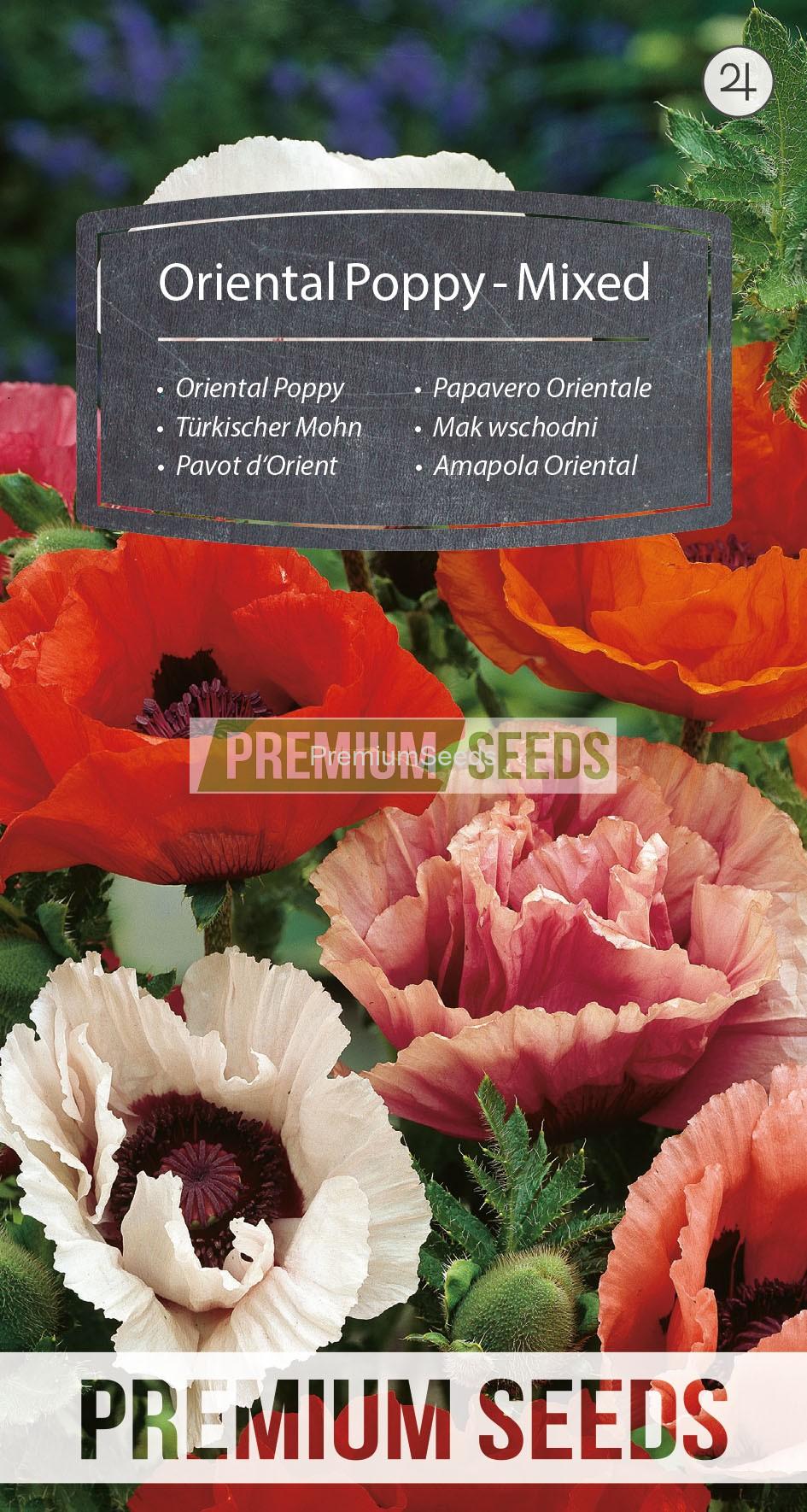 WORLD 14004240PA_RGB_VS Oriental Poppy - Mixed - seeds