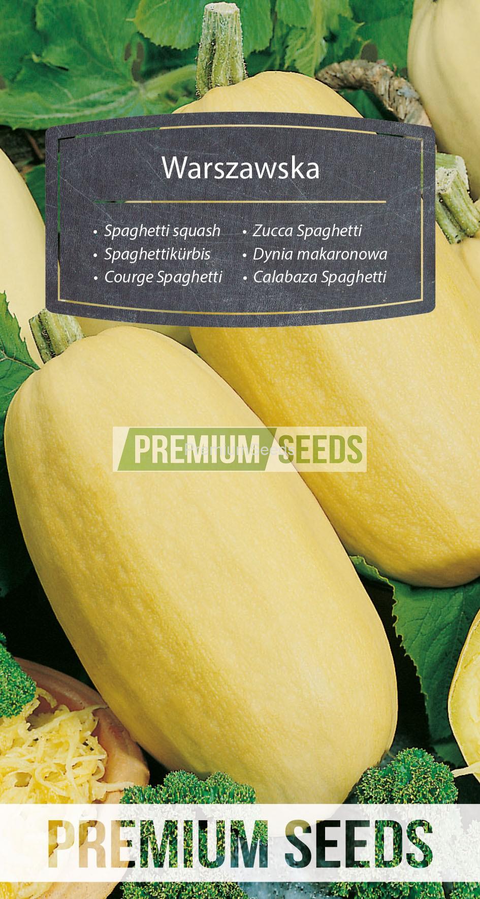 WORLD 14007756PA_RGB_VS Spaghetti squash Warszawska - seeds