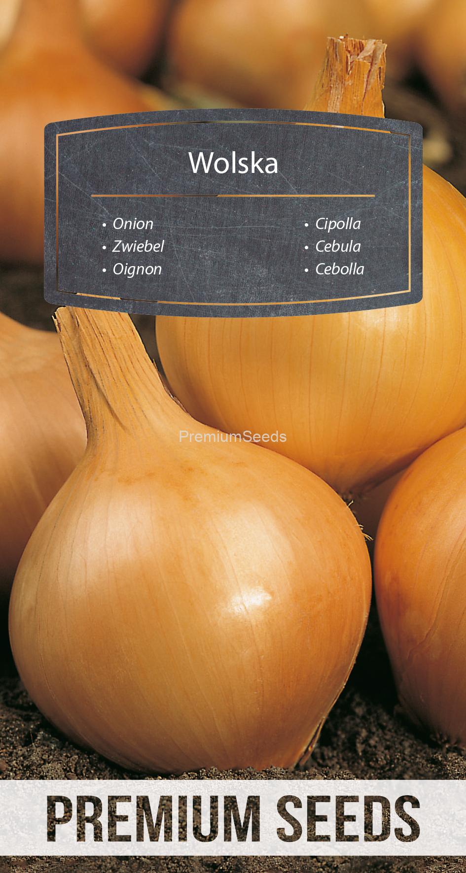 WORLD 14010556PA.indd Cebula Wolska – nasiona