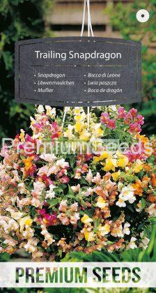 Trailing Snapdragon - seeds