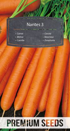 Carrot Nantes 3 - seeds
