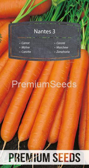 Carrot NANTES 3 - seeds