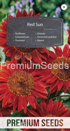 Ornamental Sunflower Red Sun - seeds