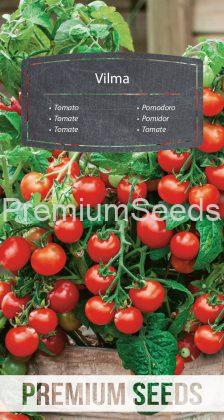 Tomato Vilma - seeds