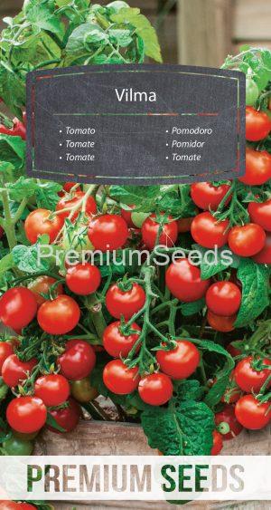 Tomato Vilma - seeds