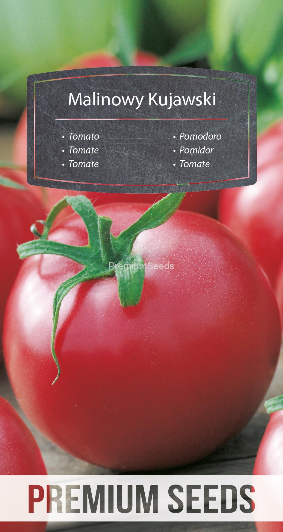 WORLD 14105243PA spez.indd Tomato Raspberry Kujawski - seeds