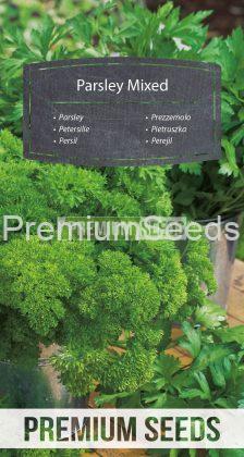 Parsley - a selection of varieties - seeds