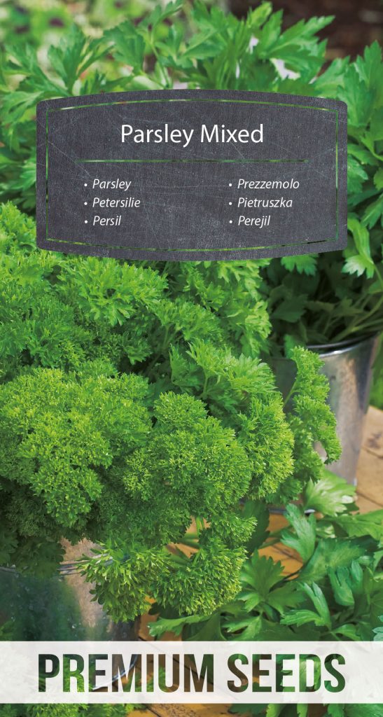 Parsley a selection of varieties PremiumSeeds producer of seeds