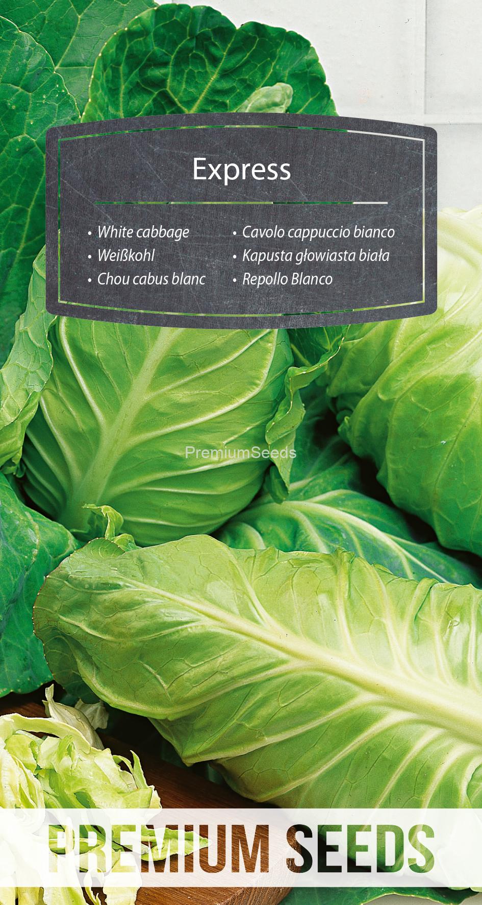 WORLD 14156197PA.indd White cabbage Express - seeds