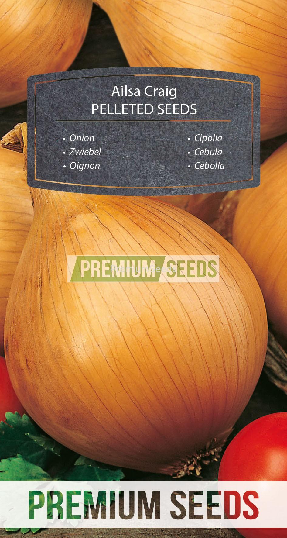 WORLD 14183947PA_PELLETED_RGB_VS Onion Ailsa Craig - PELLETED SEEDS