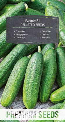 Cucumber Partner F1 - PELLETED SEEDS