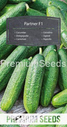 Cucumber Partner F1 - seeds