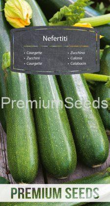Courgette Nefertiti – seeds