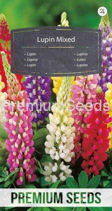 Garden Lupin - a selection of varieties - seeds