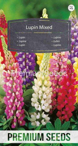 Garden Lupin - a selection of varieties - seeds
