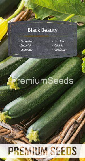 Courgette Black Beauty - seeds