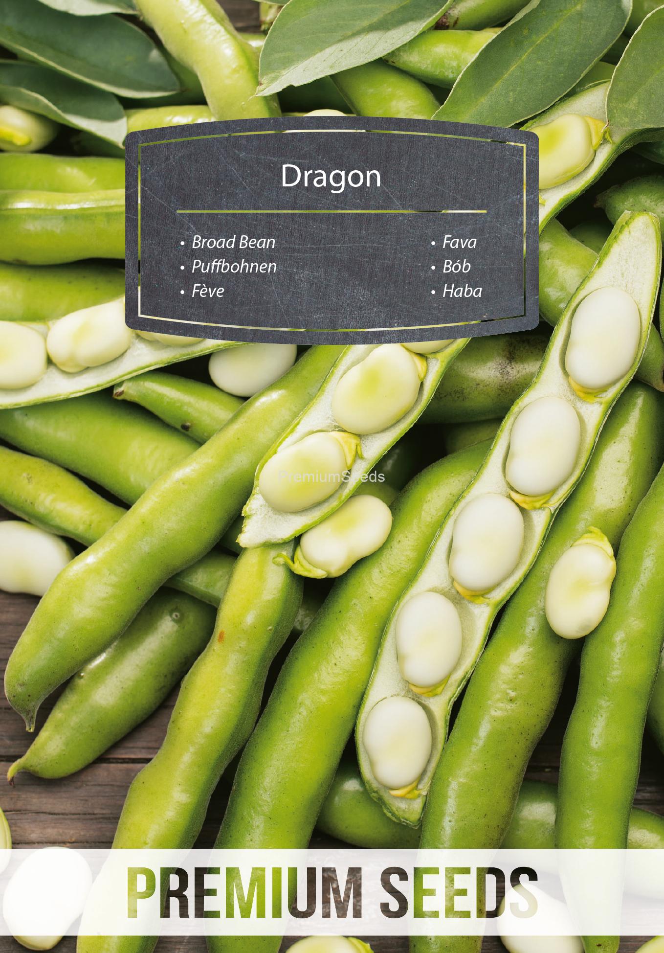 WORLD 14328016PA.indd Broad Bean Dragon - seeds