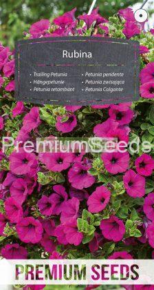 Trailing Petunia Rubina - seeds