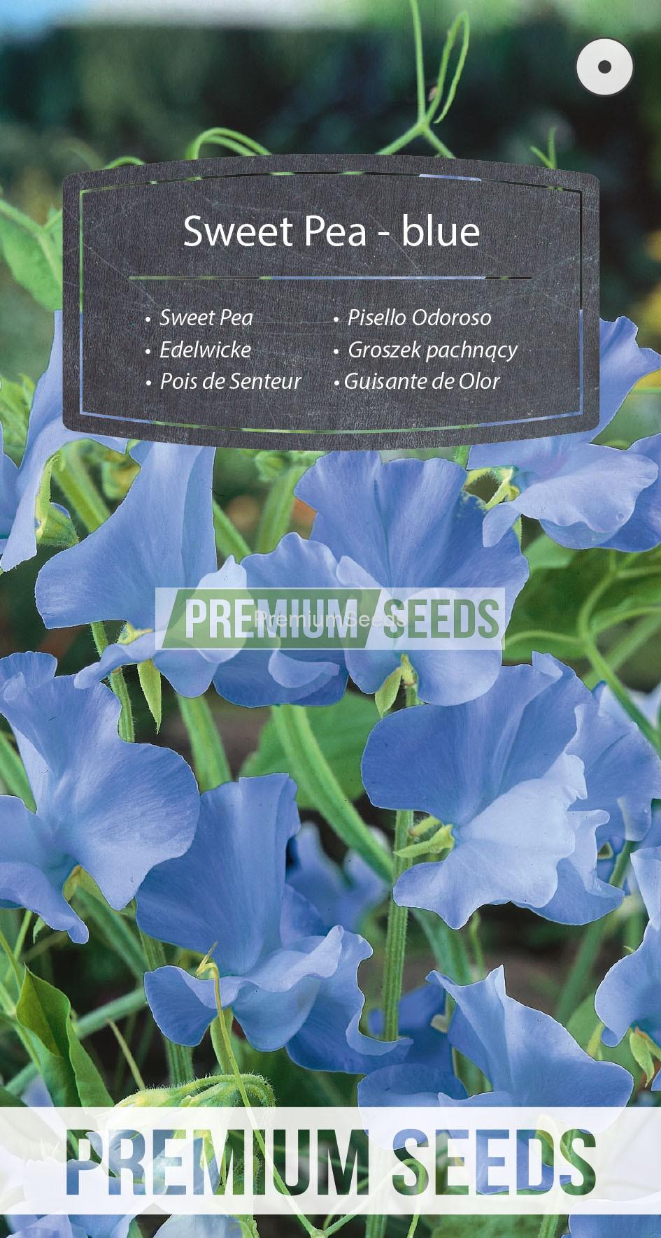 WORLD N 151 2985_RGB_VS Sweet Pea - blue - seeds