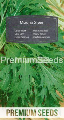 Mizuna Green - seeds