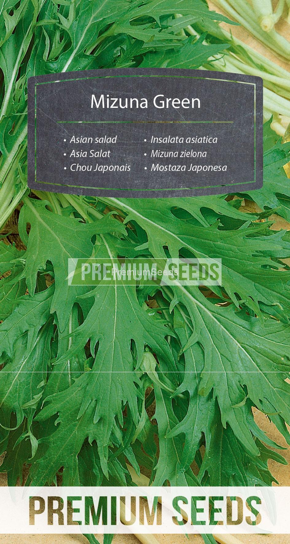 WORLD N 170 1159_RGB_VS Mizuna Green - seeds