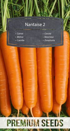 Carrot Nantaise 2 - seeds
