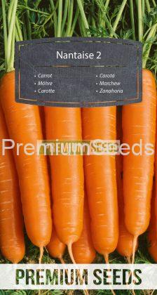 Carrot Nantaise 2 - seeds