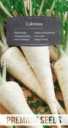 Root Parsley Cukrowa - seeds