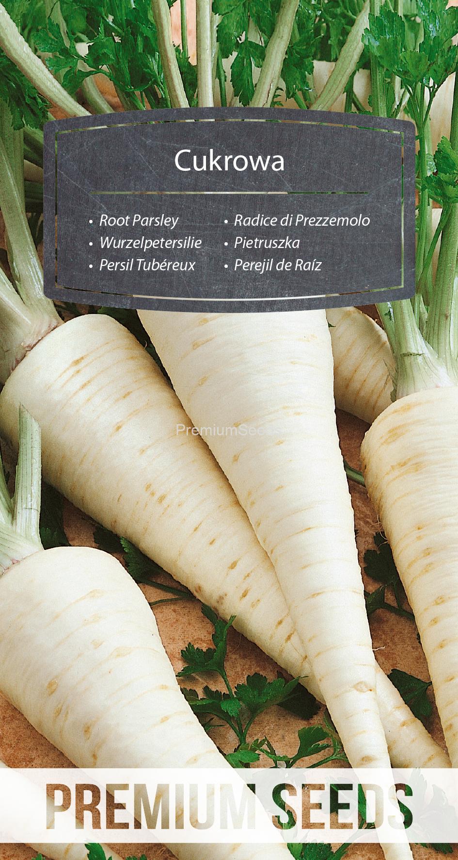 WORLD N 170 1526.indd Root Parsley Cukrowa - seeds