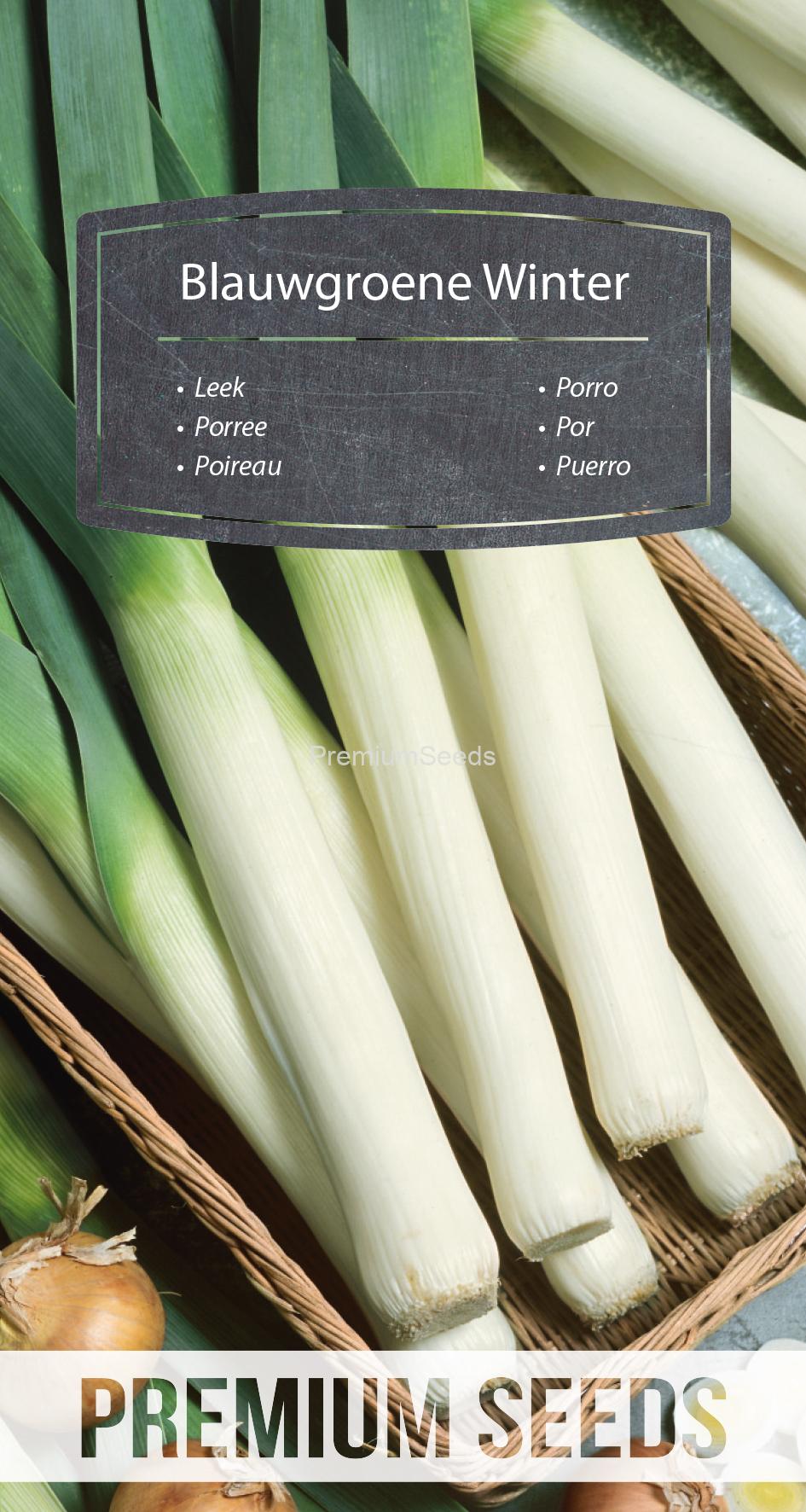 WORLD N 170 2444.indd Leek Blauwgroene Winter - seeds