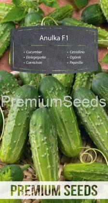 Cucumber Anulka F1 - seeds