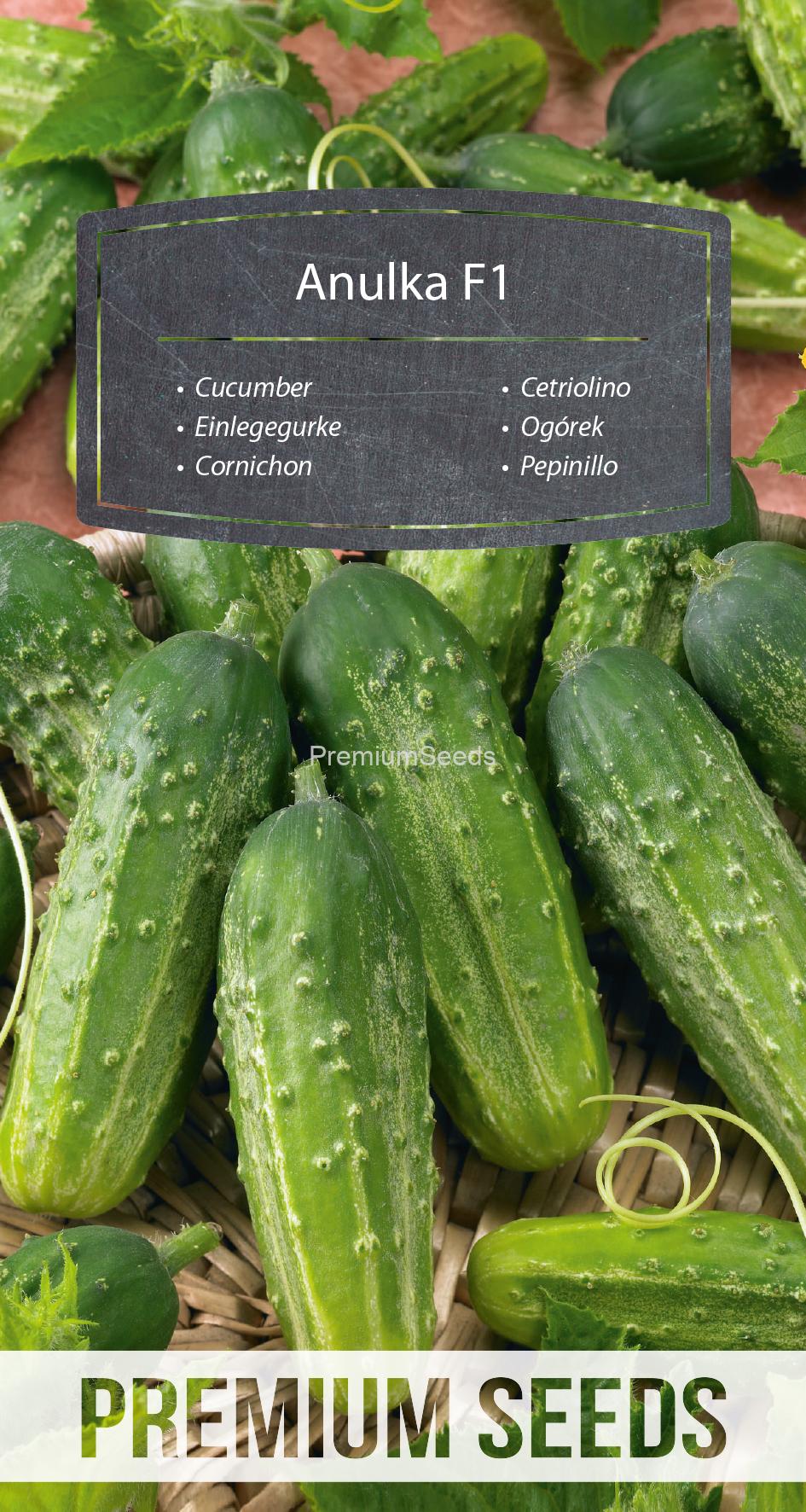 WORLD N 170 3825.indd Cucumber Anulka F1 - seeds