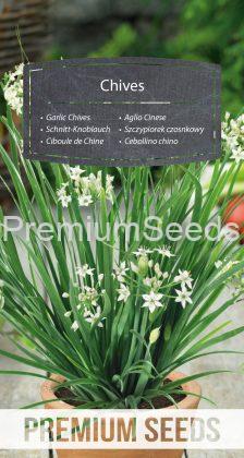 Garlic Chives - seeds