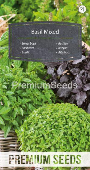 Sweet basil - A selection of varieties - seeds