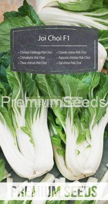 Chinese Cabbage Pak Choi Joi Choi F1 - seeds