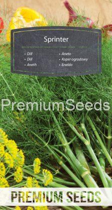 Dill Sprinter - seeds