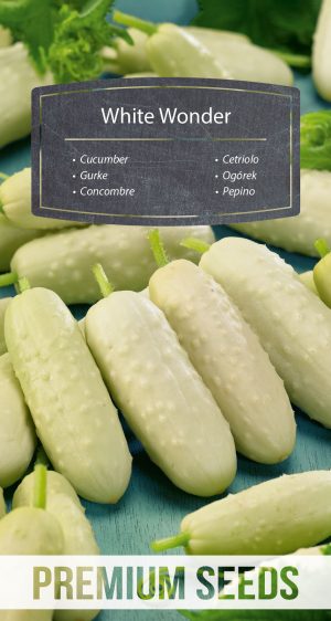 Cucumber White Wonder - seeds
