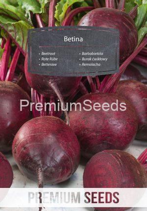 Beetroot Betina - seeds