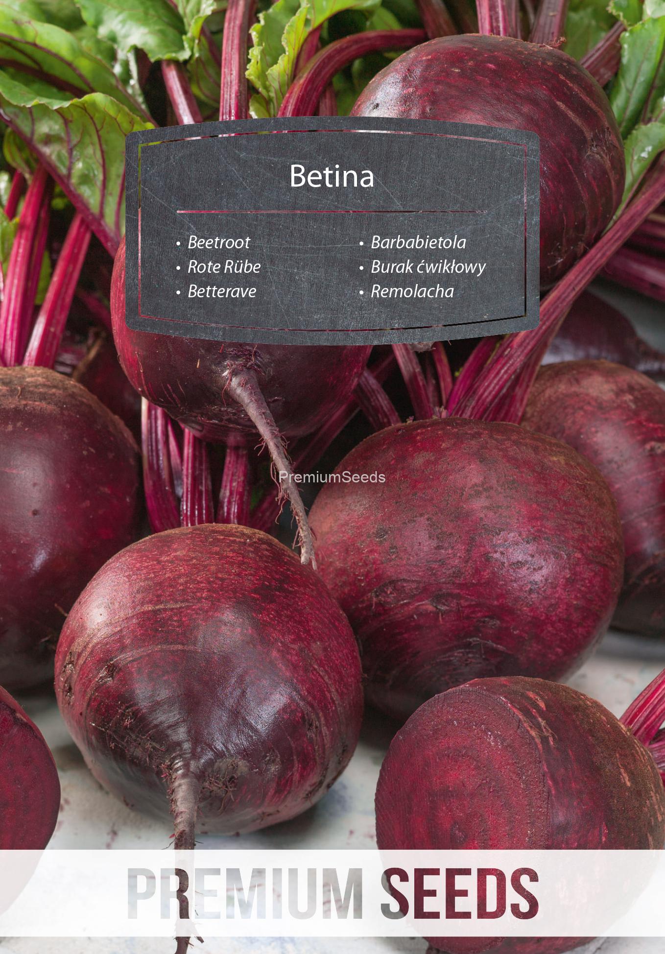 WORLD N 170 6894.indd Beetroot Betina - seeds