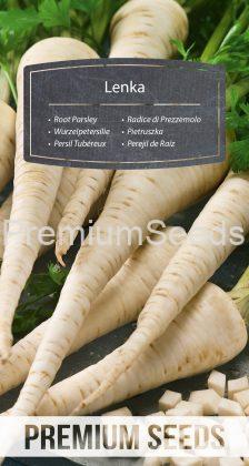 Root Parsley Lenka - seeds