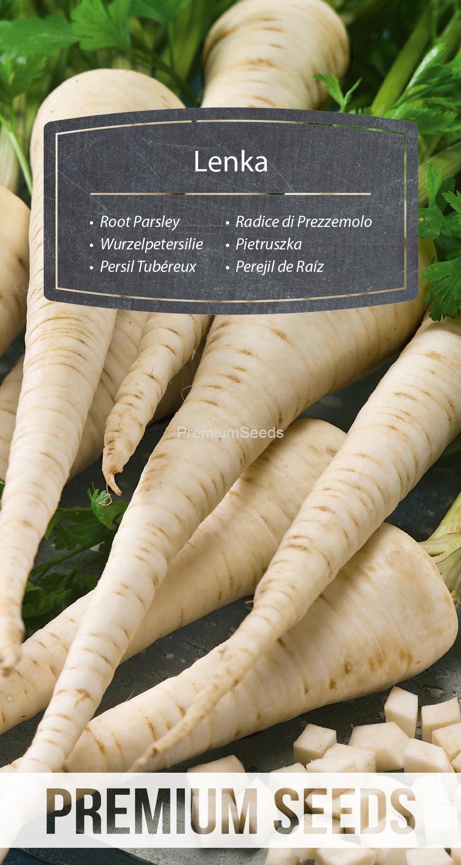 WORLD N 170 7214.indd Root Parsley Lenka - seeds