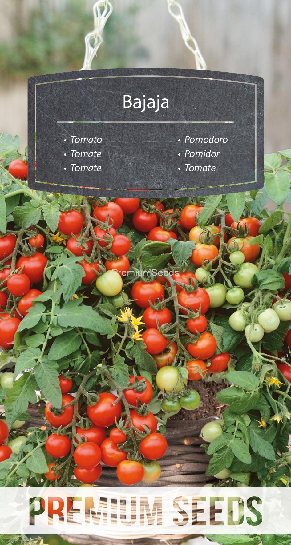WORLD N 170 7354.indd Tomato Bajaja - seeds